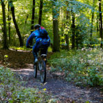 A man on a mountain bike on one of the cyclt trails in the park