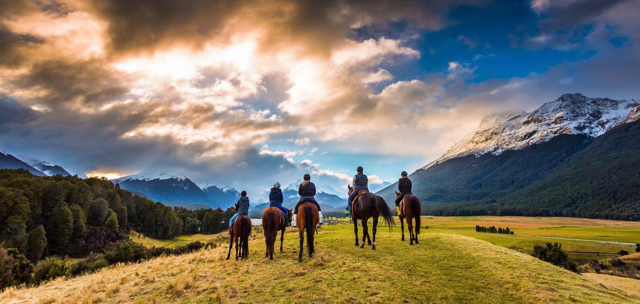 High country. Лошади в новой Зеландии. Красивые фото лошадей в новой Зеландии. Накрытый конь в новой Зеландии. Horse riding New Zealander.