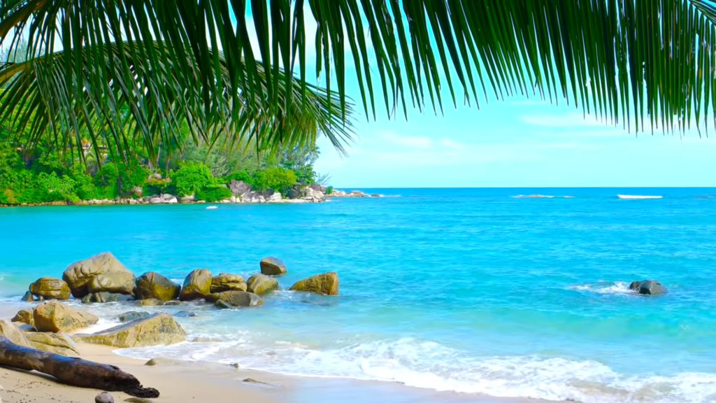 10 Best Tropical Beaches You Must Visit In Your Lifetime