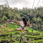 bali_swing1